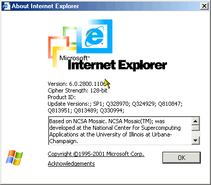 About Internet Explorer 6 